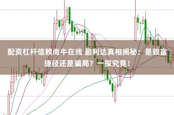 配资杠杆信赖尚牛在线 盈利达真相揭秘:是致富捷径还是骗局?一探究竟!