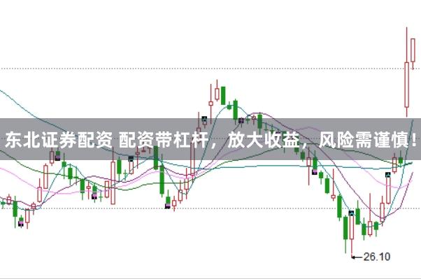 东北证券配资 配资带杠杆,放大收益,风险需谨慎!