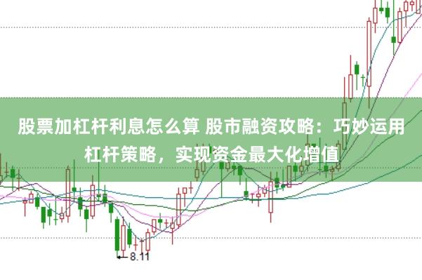 股票加杠杆利息怎么算 股市融资攻略：巧妙运用杠杆策略，实现资金最大化增值